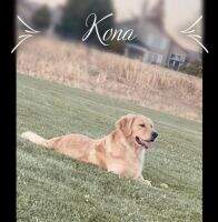 Kona Murray17