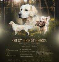 CZ Coudy Hope of Heroes
