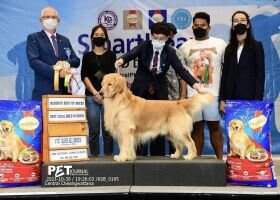 TAWALRAT'S AIRPORT GOLDEN JUSTIN TAWALRAT'S AIRPORT GOLDEN JUSTIN