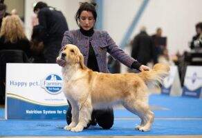 Double Willow Tequila Boom Boom