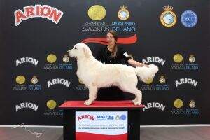 Puello Oris Born to be a Star