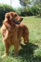 Max Von Hause Freyland Max Von Hause Freyland