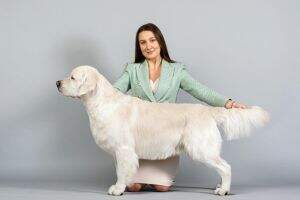 Sandy Rio Tsar Skif Sandy Rio Tsar Skif
