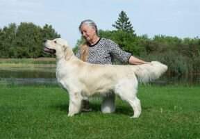 EST CH, LT CH, LV CH, BALT CH, 3 EST CACIB, 1 LT CACIB KYU DE MARY EDAN