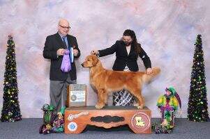 Cherish Golden's Super Sonic