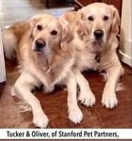 Tucker Dickens Kessler BN CGCA