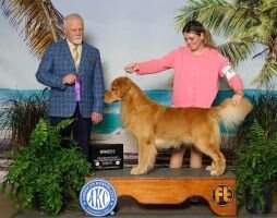 24k Retrievers Thank God I'M A Country Boy