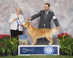 Harborview A Lot 2 Luv At Heartland