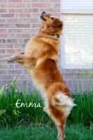 Miss Emma Jean Fiel
