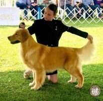 Champ Yanroze Legacy Rafiki Rock&Roll Champ Yanroze Legacy Rafiki Rock&Roll