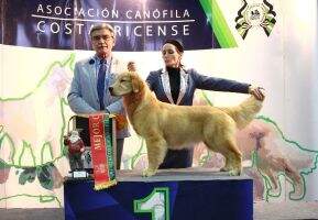 Yanroze Nala The Queen Has Arrived Yanroze Nala The Queen Has Arrived
