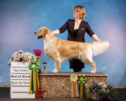jRU Ch, jChRKF, RU Ch, Ch RKF New Sunny Godric Griffindor