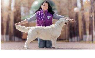 jun.ChRus NKP ChRKF GrandCh ORO MAGNIFICO CHARLIN