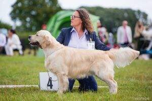 Ch.PL, JCh.PL, Junior PL Winner '23 DREAM CHARMER Rozmachany Ogon