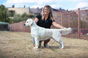 BY JGrand CH, Breed CH, BY CH, BY WINNER 2022, CIS Winner 2024, 2xCACIB, 2xR.CACIB Angelonato Sun Bliss