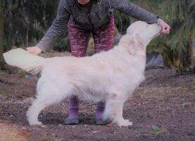 Perfect Beast Too Cute To Be Nasty