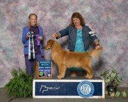 Cobblestone's Cruzn With The Top Down To Glen Lake BPISS MBISS POA
