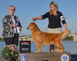 Beckwith's Lucy In The Sky With Diamonds CCA TKN