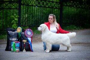 RUS RKF Goldenrush Relax Take It Easy