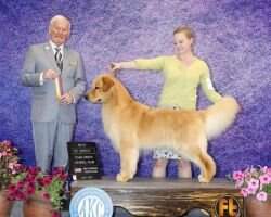 Golden Finales Ain't No Thing Like Me 'Cept Me CCA