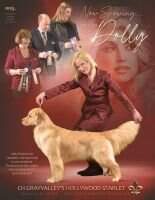 CanGCH CH GRAYVALLEY'S HOLLYWOOD STARLET