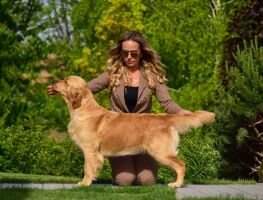SK C.I.B. - Junior SK & RO IMPERIAL QUEEN Canis Regnum