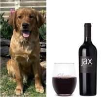 Sunfire Life Is A Cabernet at High Farms BN