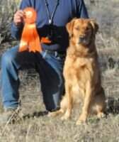 Tucker's Kopper Star