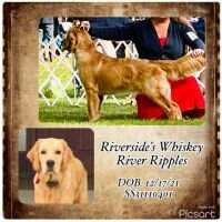 Riversides Whiskey River Ripples