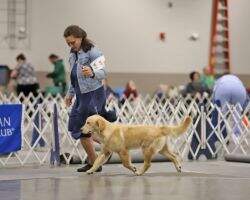Emerson's Appalachian Trail Magic TDN