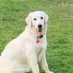 Meadow Mae Flaherty Meadow Mae Flaherty