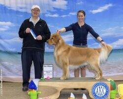 Grace N Swing For The Win! RN CGCU CGCA