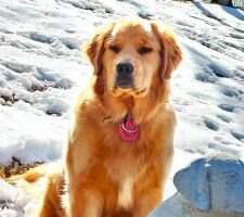 Indian Trail's Lady Lorelei Luna
