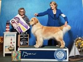 MBISS Ch Maximus Make A Difference