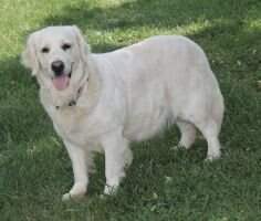 Hall Of Fame Ruby Heafner ''Ruby''