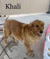 Blessed Khali A Perfect Sunset