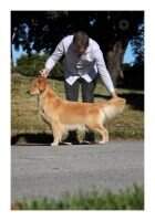 Maximus The Lucky One