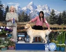 Crystal Glens Throw Chance To The Wind RA