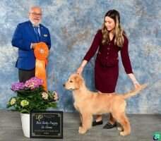 BBPIS Harbourfleet's Nautical Spirit at Recurve