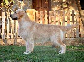 Cooper Junior de Ria Vela Cooper Junior de Ria Vela