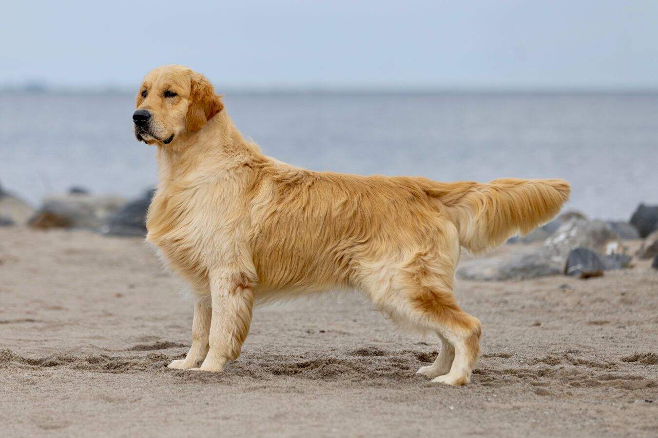 Cooper Junior de Ria Vela Cooper Junior de Ria Vela