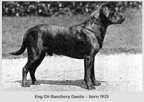 Banchory Danilo Ft.W
