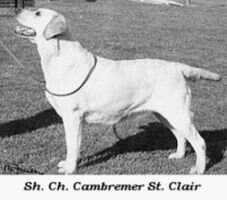 Ch Cambremer St. Clair Ch Cambremer St. Clair