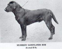 Sandylands Sandylands
