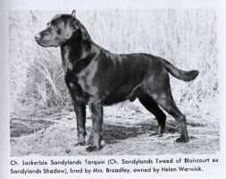 Lockerbie Sandylands Tarquin