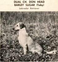 Don Head Barley Sugar Don Head Barley Sugar