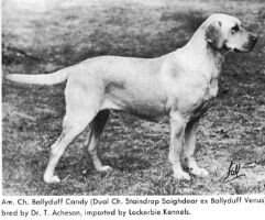 Ballyduff Candy Ballyduff Candy