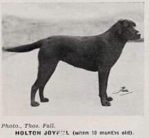 Holton Joyful