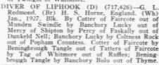 Diver of Liphook Diver of Liphook