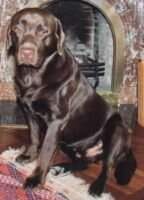 Rex (RKF1216907,LOF) Rex (RKF1216907,LOF)
